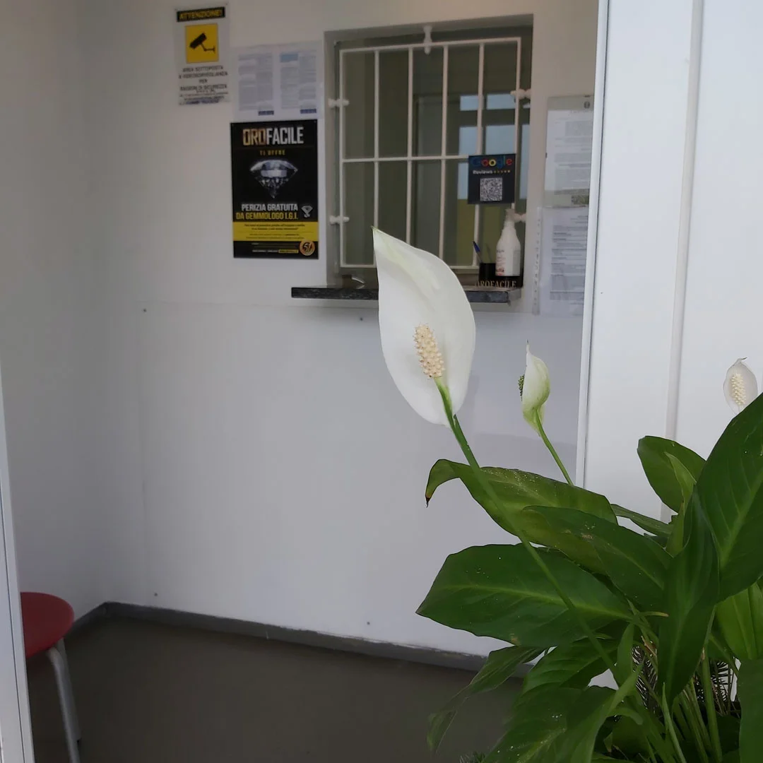Compro oro Padova di Via Ludovico Ariosto, 48: ingresso negozio compro oro a Padova  dettaglio box vendita oro usato a Padova
